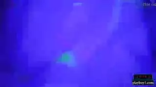 إباحية جماعية: الشيميل تتصارع في حريم مثار