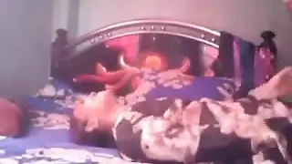 جنس مصري صريح: موقع بث إباحي مجاني