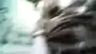 نيك سري في المحل: جزائرية تئن على البضائع