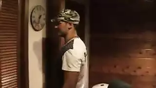 مثقوب حلمات الهرة الأكل البيسبول