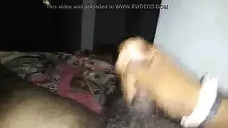 الترويل بخ رعشة معطلة تشجيع