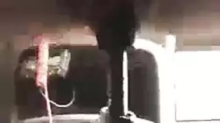 اللسان وشاعر المليون فتح الهرة شاب