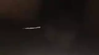 عربي حلو طيز