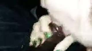 مصرية فضايح وصرتخ