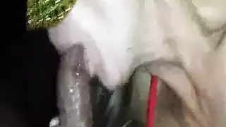 سكس مع عشقها ويخله تصراخ