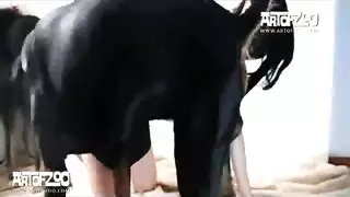 عذرا ممحونه طيز
