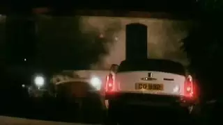 نيك نساء معا حيوانات