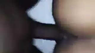 انطانيه سلمان