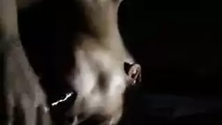 مؤخرة عربية ضيقة تتمدد بقضيب كبير مشهد كيشا الإباحي العنيف