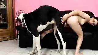 جنس حيواني إكس إكس إكس: قضيب الكلب يشعل نارها