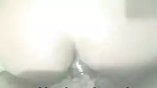 عاهرات جنس الحيوانات: حركة شديدة