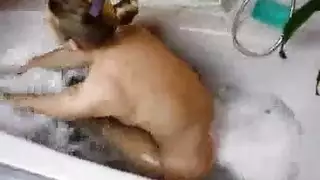 فلم سكس طيز كبيري كامل في البانيو جورجي