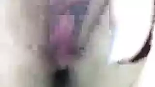 المشجع الحمار العبادة سجن