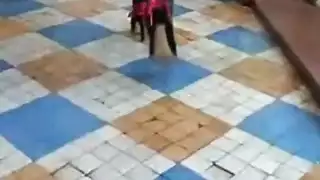 جوارب طويلة صنم – هوس بأرجلها الطويلة