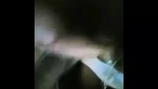 جد الهرة الكبيرة رئيس